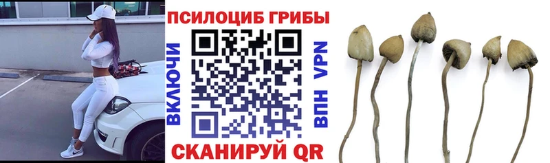 Галлюциногенные грибы прущие грибы  дарнет шоп  Белореченск 