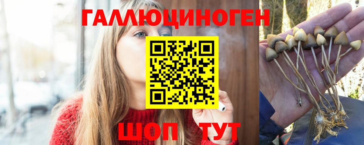 Псилоцибиновые грибы мицелий  Вход с VPN  Белореченск 