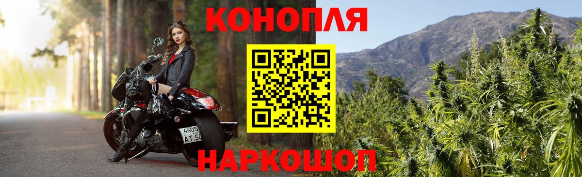 Бошки Шишки MAZAR Белореченск